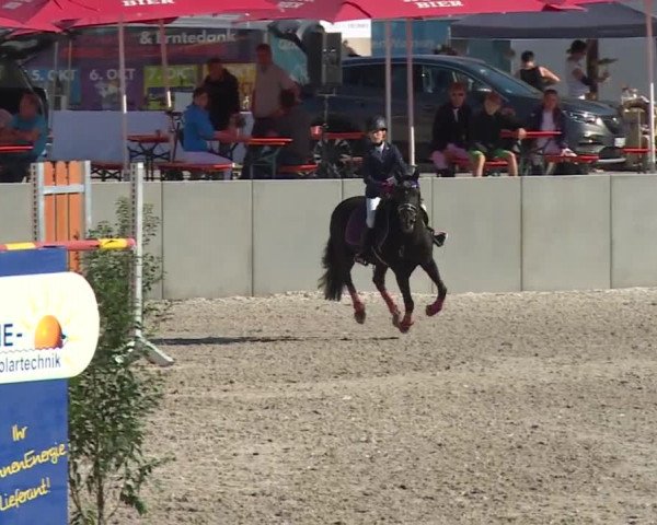 Reitturnier Grafenrheinfeld 2018