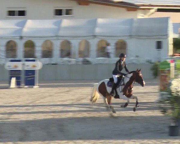 Reitturnier Grafenrheinfeld 2018