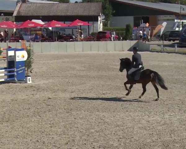 Reitturnier Grafenrheinfeld 2018