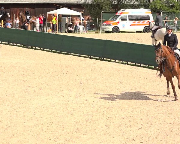 Concours Hippique Zuoz 2018