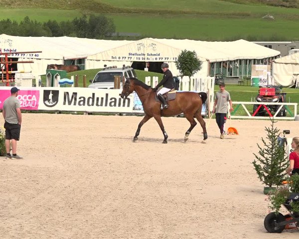 Concours Hippique Zuoz 2018