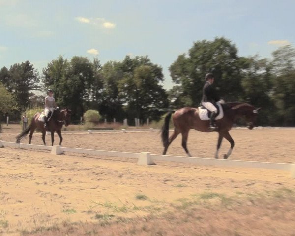 Reitturnier Olfen-Vinnum 2018