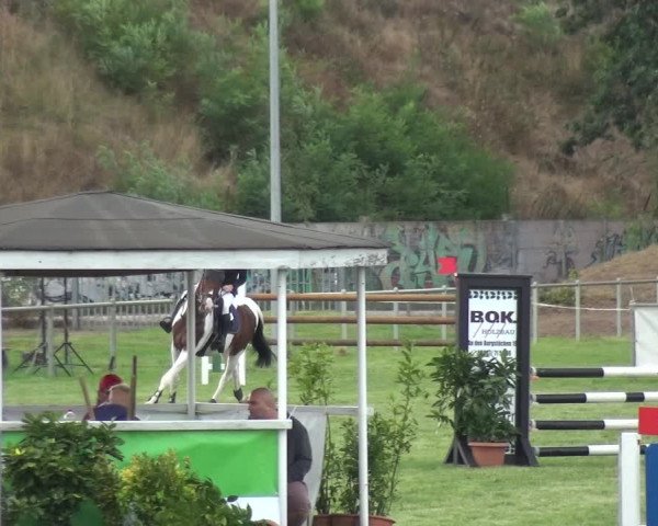 Reitturnier Gardelegen 2018