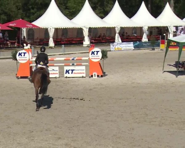 Reitturnier Grafenrheinfeld 2018