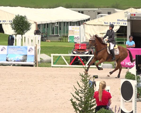 Concours Hippique Zuoz 2018