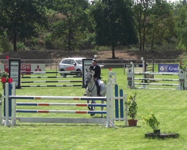 Reitturnier Gardelegen 2018