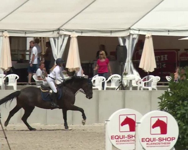 Reitturnier Grafenrheinfeld 2018