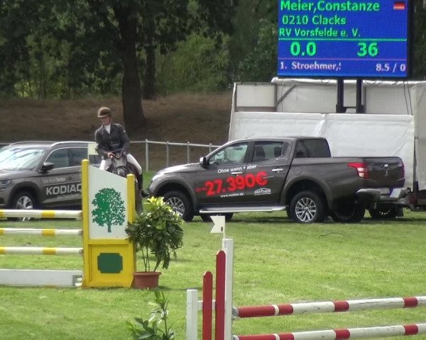 Reitturnier Gardelegen 2018