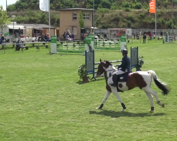 Reitturnier Gardelegen 2018