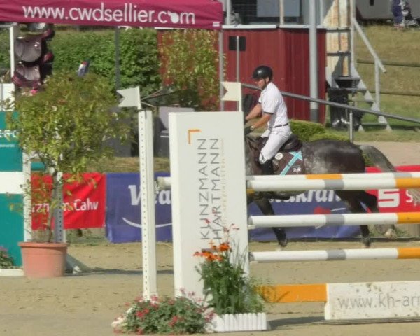 Reitturnier Oberderdingen 2018