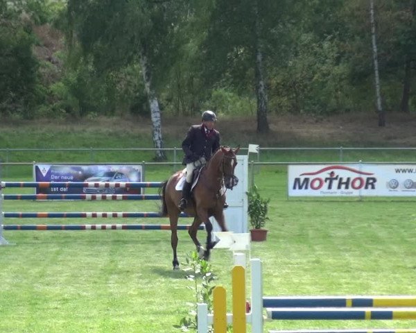 Reitturnier Gardelegen 2018