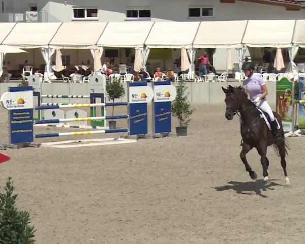 Reitturnier Grafenrheinfeld 2018