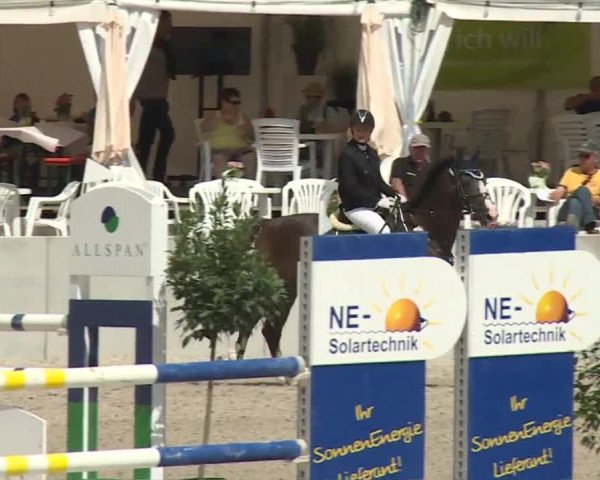 Reitturnier Grafenrheinfeld 2018