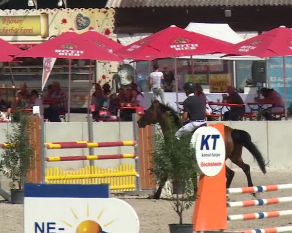 Reitturnier Grafenrheinfeld 2018