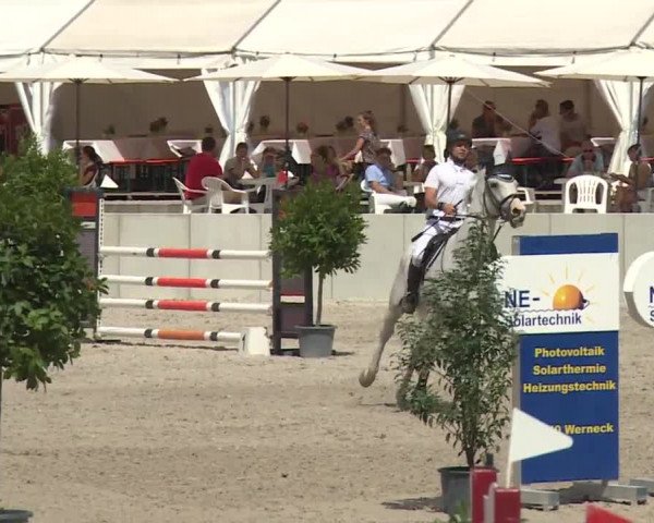 Reitturnier Grafenrheinfeld 2018
