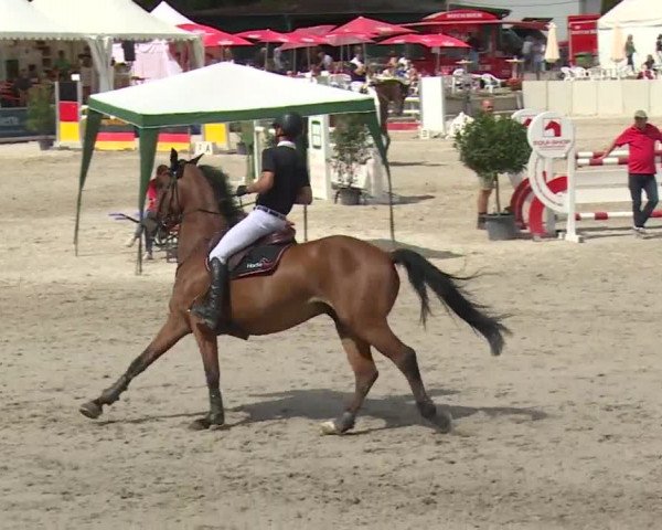 Reitturnier Grafenrheinfeld 2018