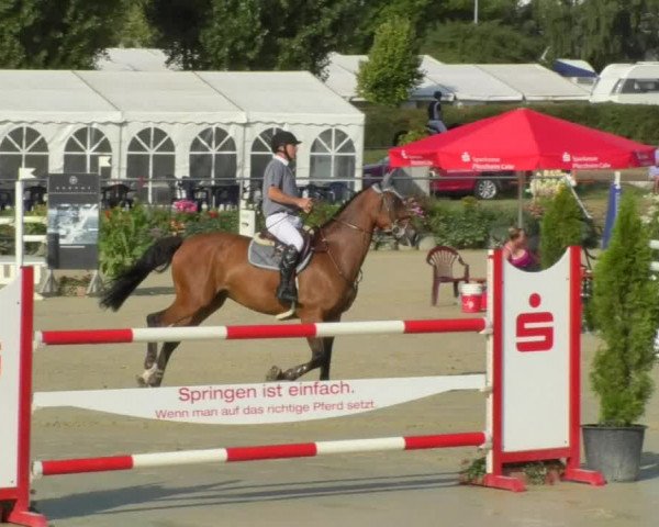 Reitturnier Oberderdingen 2018