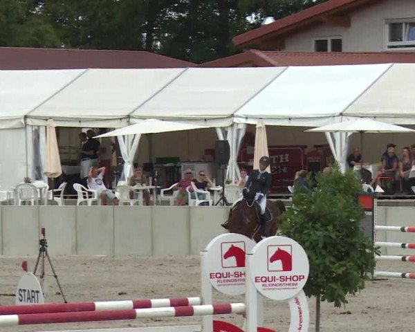 Reitturnier Grafenrheinfeld 2018