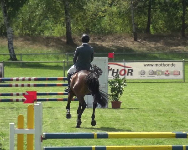 Reitturnier Gardelegen 2018