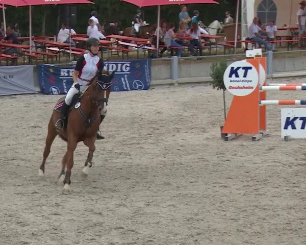 Reitturnier Grafenrheinfeld 2018