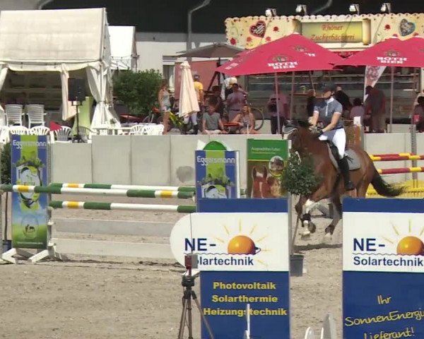 Reitturnier Grafenrheinfeld 2018