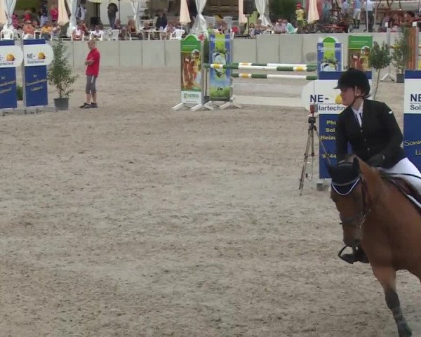 Reitturnier Grafenrheinfeld 2018