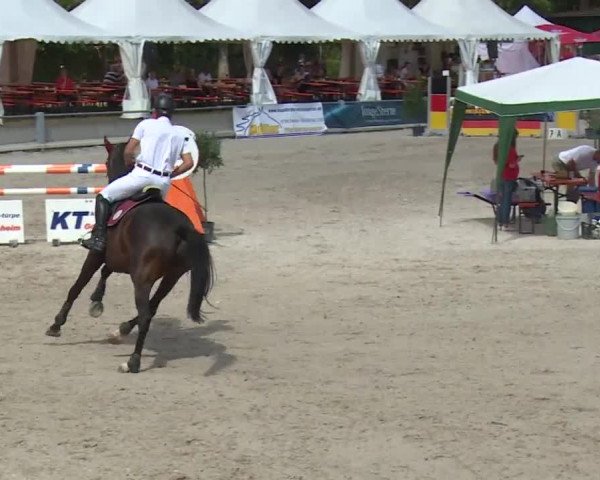 Reitturnier Grafenrheinfeld 2018