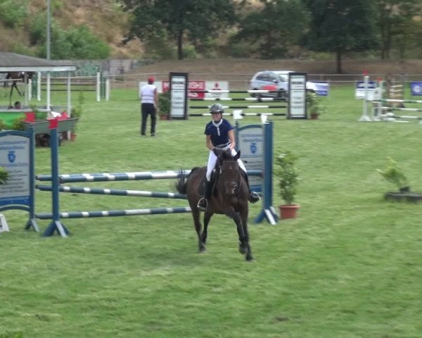 Reitturnier Gardelegen 2018