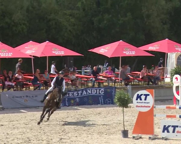 Reitturnier Grafenrheinfeld 2018