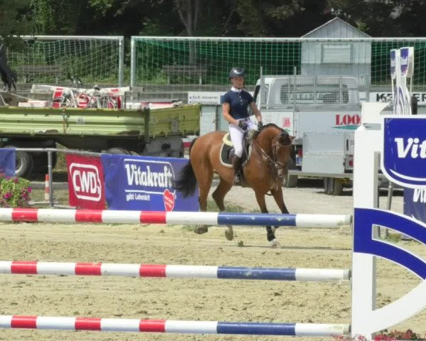 Reitturnier Oberderdingen 2018