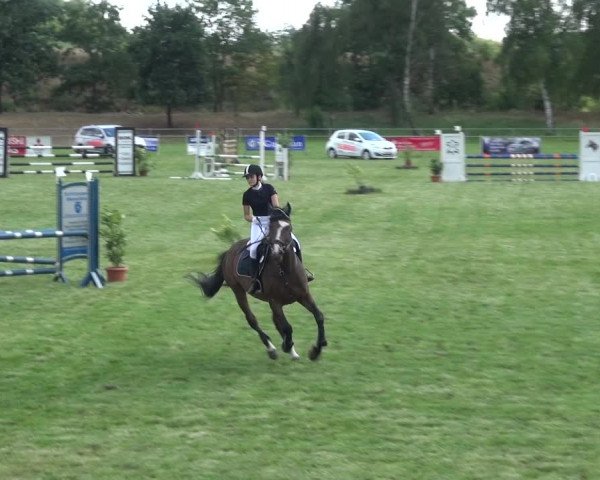 Reitturnier Gardelegen 2018