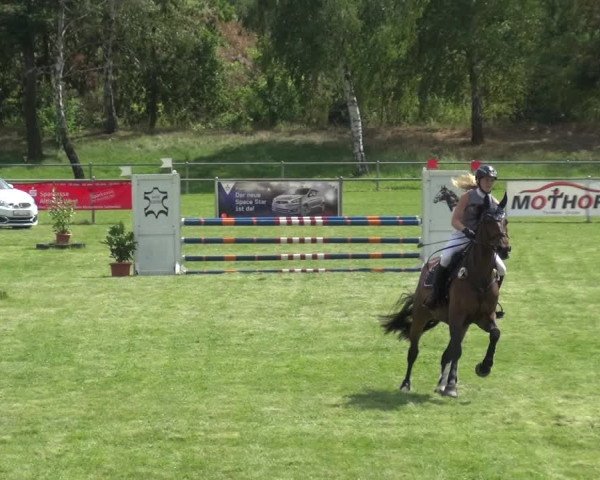 Reitturnier Gardelegen 2018