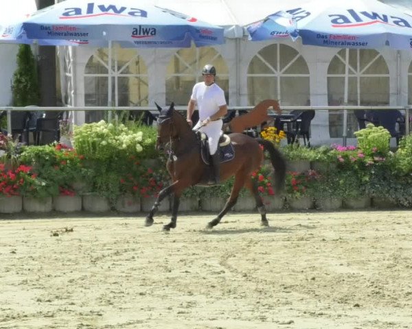 Reitturnier Oberderdingen 2018