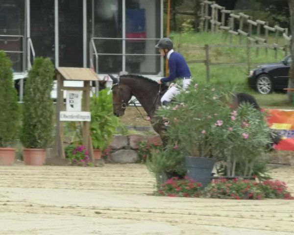 Reitturnier Oberderdingen 2018