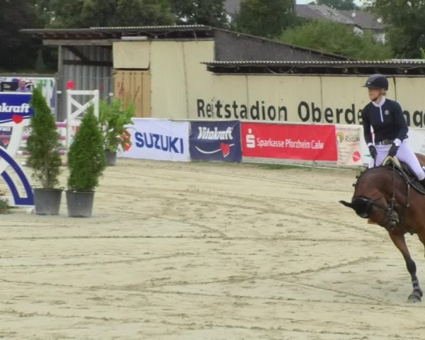 Reitturnier Oberderdingen 2018
