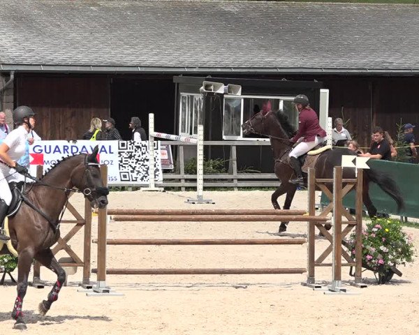 Concours Hippique Zuoz 2018