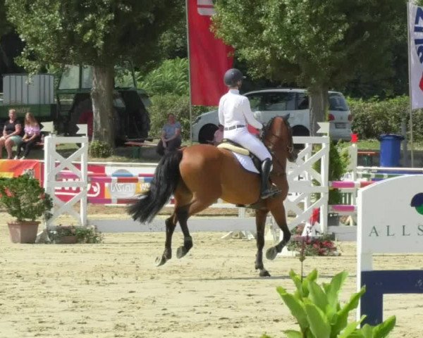 Reitturnier Oberderdingen 2018
