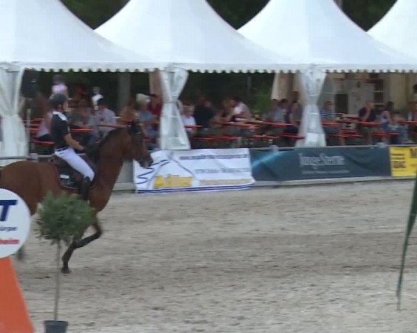Reitturnier Grafenrheinfeld 2018