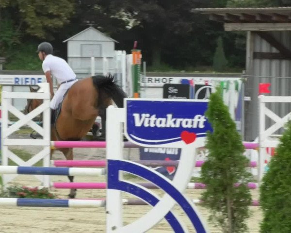 Reitturnier Oberderdingen 2018