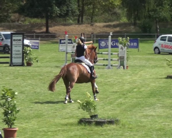 Reitturnier Gardelegen 2018