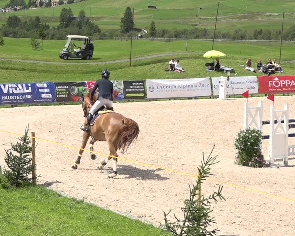 Concours Hippique Zuoz 2018