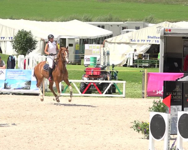 Concours Hippique Zuoz 2018