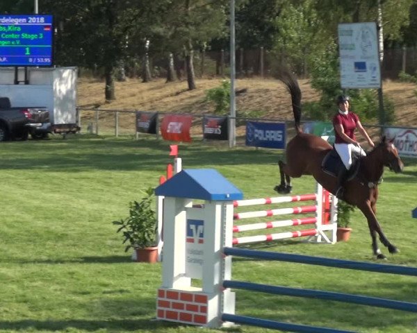 Reitturnier Gardelegen 2018