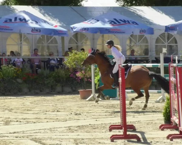 Reitturnier Oberderdingen 2018