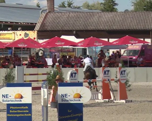 Reitturnier Grafenrheinfeld 2018