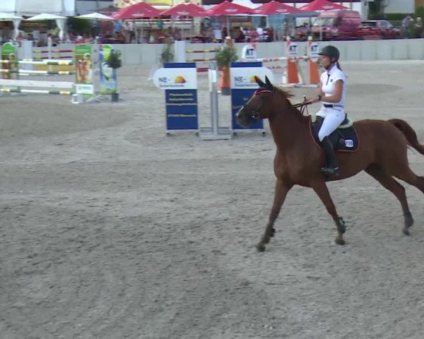 Reitturnier Grafenrheinfeld 2018