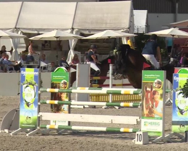 Reitturnier Grafenrheinfeld 2018