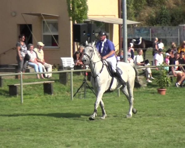 Reitturnier Gardelegen 2018
