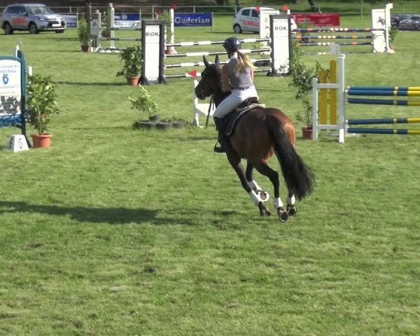 Reitturnier Gardelegen 2018