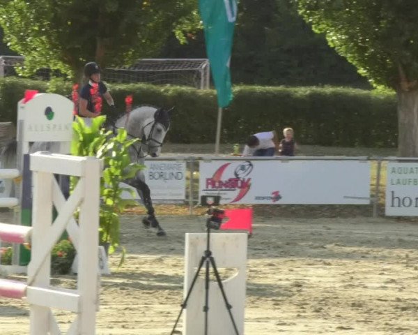 Reitturnier Oberderdingen 2018